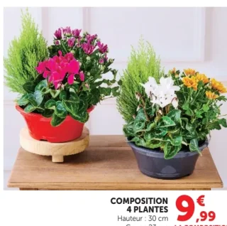 Composition 4 plantes
