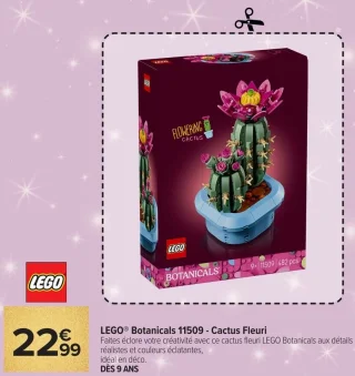 LEGO® Botanicals 11509 - Cactus Fleuri