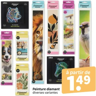 Peinture diamant diverses variantes Wibra