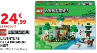 LEGO Minecraft L'Aventure de la première nuit