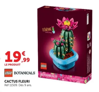 Lego Botanicals Cactus fleuri