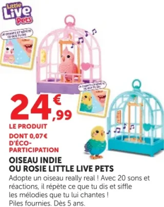 Oiseau Indie ou Rosie Little Live Pets