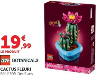 LEGO Botanicals Cactus fleuri