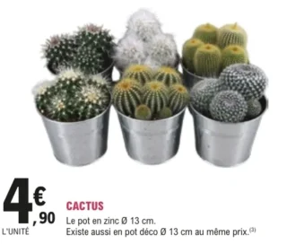Cactus pot en zinc Ø 13 cm