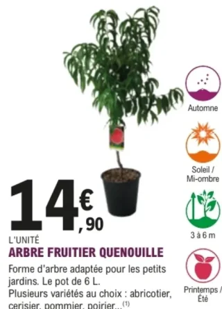 Arbre fruitier quenouille