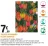 Promo Tulipes botaniques fleurs sauvage - Le sachet de 75 bulbes