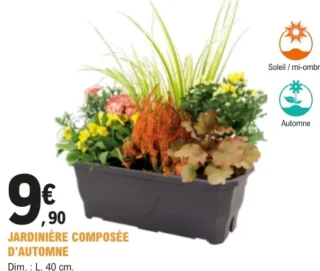 Jardinière composée d'automne