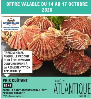 Coquille Saint-Jacques coraillée Pavillon France