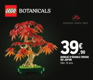 LEGO Botanicals Bonsaï d'érable rouge du Japon