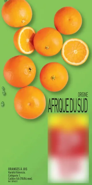 Oranges à jus