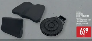 Coussin pour voiture RIDE+GO®