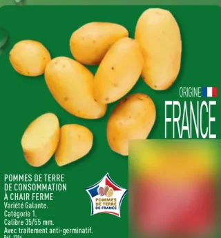 Pommes de terre de consommation à chair ferme Galante