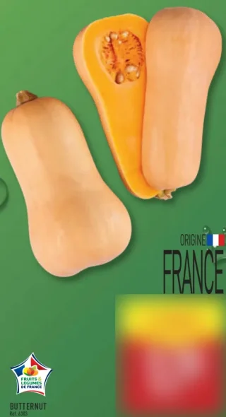 Courge Butternut