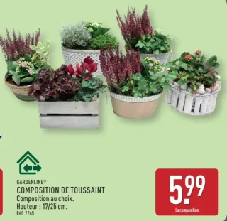 Composition de Toussaint Gardenline