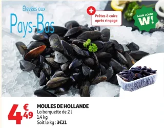 Moules de Hollande élevées aux Pays-Bas