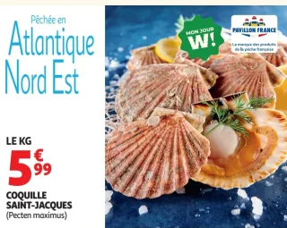 Coquille Saint-Jacques pêchée en Atlantique Nord Est