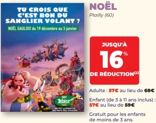 Billet adulte Parc Astérix - Noël Gaulois