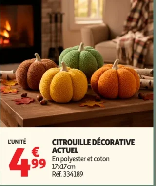 Citrouille décorative Actuel