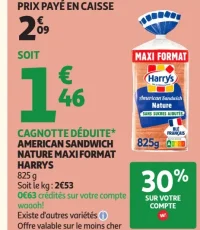 American Sandwich Nature Maxi Format Harrys