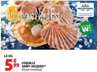 Coquille Saint-Jacques