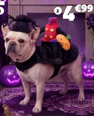 Déguisement pour animal