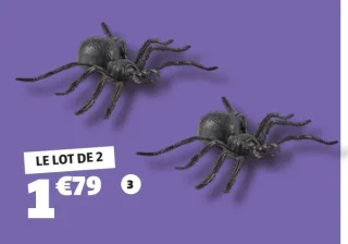 2 araignées de décoration