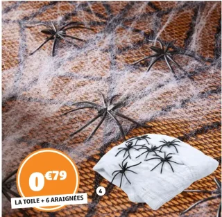 Toile + 6 araignées