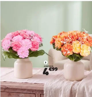 Piquet oeillets et gypsophile