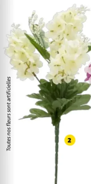 Piquet lilas