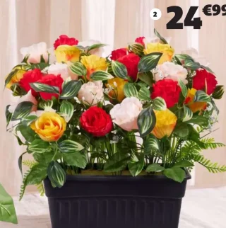 Pot roses et gypsophiles