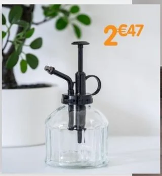 Vaporisateur pour plantes en verre