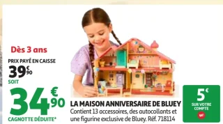 LA MAISON ANNIVERSAIRE DE BLUEY