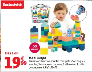 Ludi Maxi Briqui jeu de construction