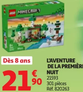 LEGO Minecraft L'AVENTURE DE LA PREMIÈRE NUIT 21593