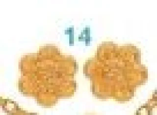 Puces d'oreilles enfant fleur