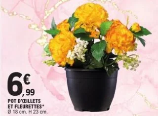 Pot d'œillets et fleurettes