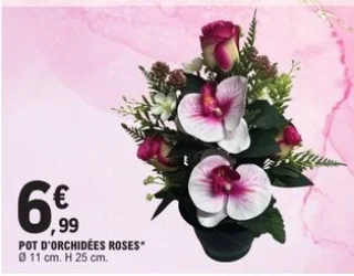 Pot d'orchidées roses