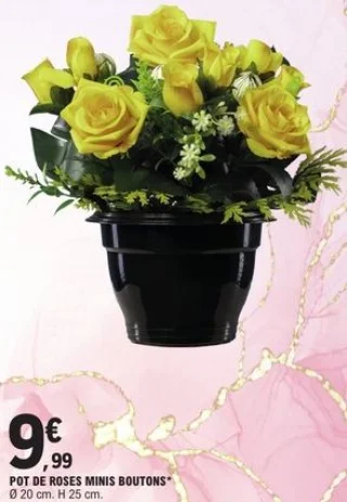 Pot de roses minis boutons