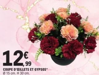 Coupe d'œillets et gypsos
