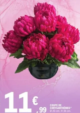 Coupe de chrysanthèmes