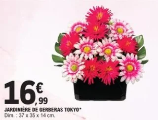 Jardinière de gerberas Tokyo