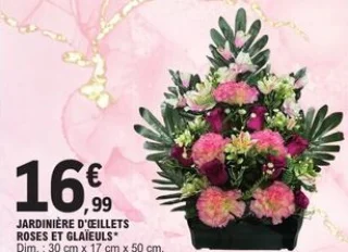 Jardinière d'œillets roses et glaïeuls