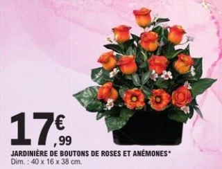 Jardinière de boutons de roses et anémones