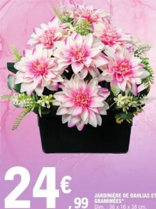 Jardinière de dahlias et graminées