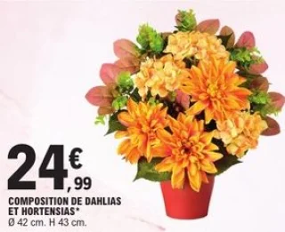 Composition de dahlias et hortensias