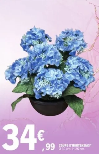 Coupe d'hortensias