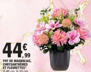 Pot de magnolias, chrysanthèmes et fleurettes