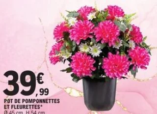 Pot de pomponnettes et fleurettes