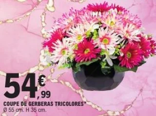 Coupe de gerberas tricolores