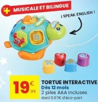 Tortue Interactive